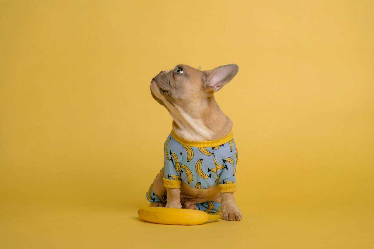 Yellow Banana